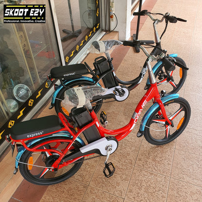 Eco Drive Electric Bicycle