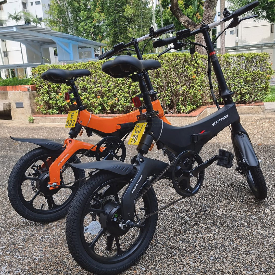 Scorpion Electric Bicycle