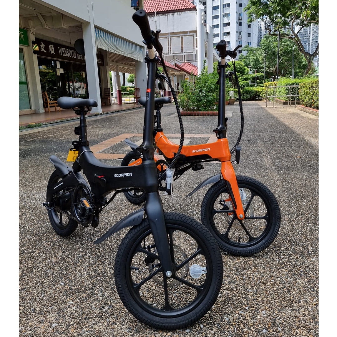 Scorpion Electric Bicycle